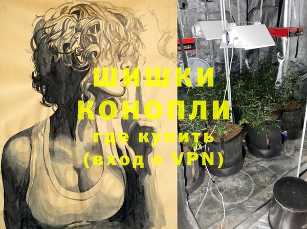 сатива Дмитров