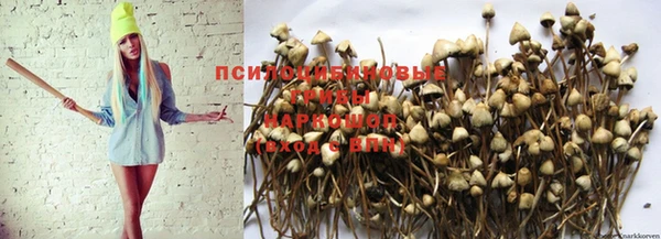 гашишное масло Дмитриев