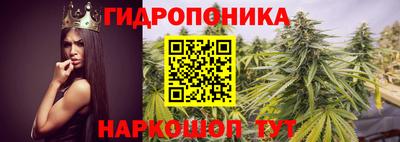 PSILOCYBIN Рыбинск