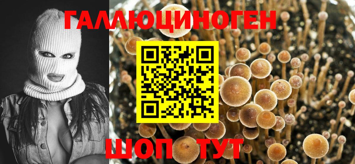 где найти   Псилоцибиновые грибы MAGIC MUSHROOMS  Вход с VPN  Симферополь 
