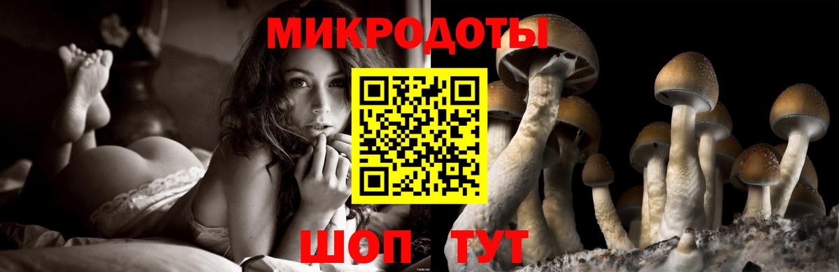 Галлюциногенные грибы Magic Shrooms Симферополь